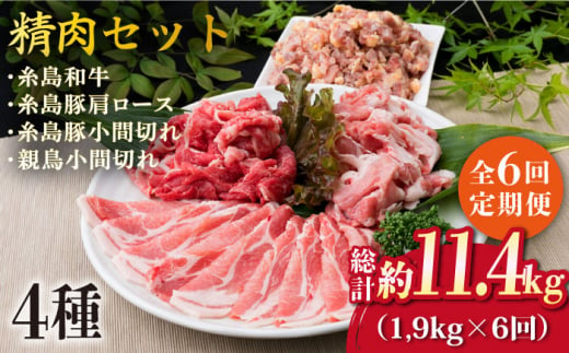 【全6回定期便】牛肉 豚肉 鶏肉 日常使いの精肉セット 1,930g 4～5人前 4種《糸島》【糸島ミートデリ工房】 [ACA198]