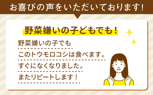 【全2回定期便】果物みたいに『極甘』早朝収穫 とうもろこし Lサイズ(300g)×5本 糸島市 / 有限会社ウラタ農園 [ALI005]