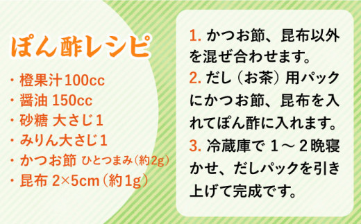 オーガニック だいだい 果汁 1L 《糸島》 【山口食品株式会社】 [ABI002]