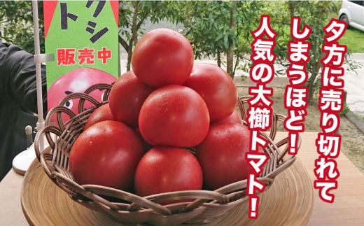 【2025年3月以降順次発送】【全3回定期便】【甘くて濃厚】大玉 トマト 2kg 糸島市 / 大櫛トマトファーム [AQH003]