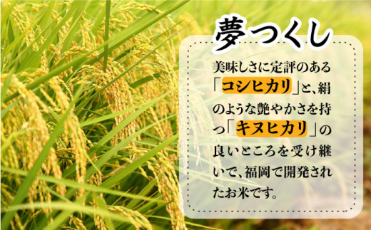 【無洗米】糸島のお米 夢つくし 「糸島美人」10kg （ 5kg×2 ） 糸島市 / 伊都菜彩 [AED017]