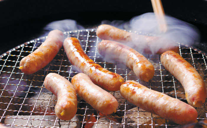 【本場ドイツで連続金賞受賞】生 ウインナー 5種 30本 + 生ハム 詰め合わせ セット 糸島 / 糸島手造りハム [AAC004] 贈答 ギフト  ランキング 上位 人気 おすすめ ウインナー ハム 贈答 ギフト 贈り物 のし対応 BBQ 焼肉  お歳暮