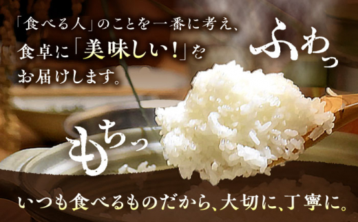 【全12回定期便】 糸島産 雷山のふもとの米 農薬不使用 5kg 糸島市 / ツバサファーム [ANI005] 白米 玄米