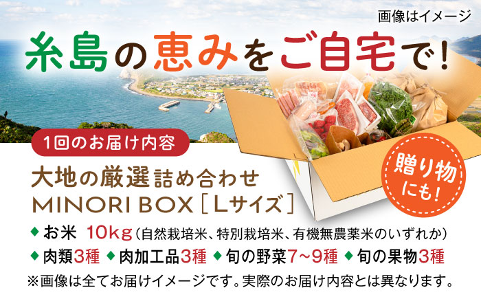 【全4回定期便】糸島産 肉 米 野菜 果物 厳選詰め合わせ MINORI BOX Lサイズ【季節ごとに年4回お届け】 糸島市 / emma.Inc / 米 肉 野菜 果物 詰め合わせ [AOP003] 米 こめ 肉 にく 野菜 やさい 果物 くだもの 糸島 詰め合わせ MINORI