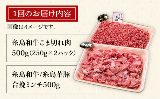 【全3回定期便】糸島和牛 小間切れ 500g ＆ 糸島和牛 糸島豚 合挽ミンチ 500g 合計1kg《糸島》【糸島ミートデリ工房】 [ACA237]