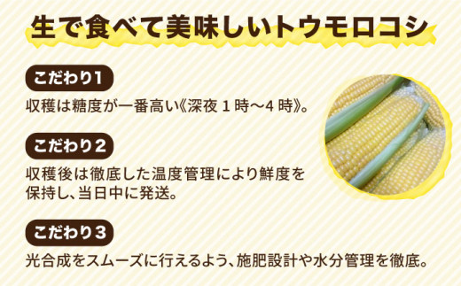 糸島 トウモロコシ 『もきっこ』 黄 （ 8～10本 ） 糸島市 / 内田農業 [AZH001]