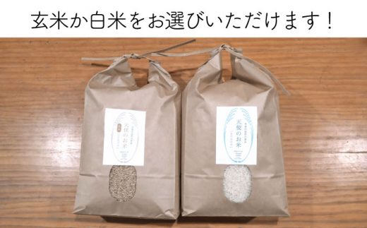 【 全12回 定期便 】糸島産 ミルキークイーン 5kg 自然栽培 《糸島》【大石ファーム】 [ATE028]