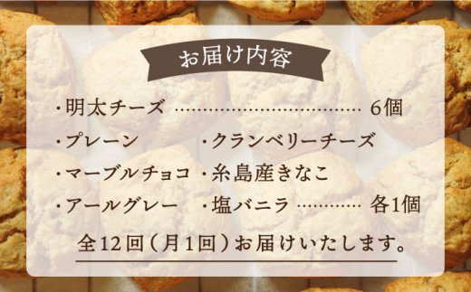 【全12回定期便】 定番 スコーン + 明太 チーズ スコーン 計 12個 セット 糸島市 / スコーン専門店キナフク 焼き菓子 焼菓子 洋菓子 スイーツ パン [AFA026]