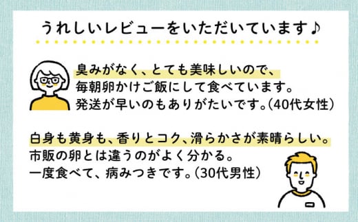 《月2回 × 20個  3ヶ月コース》卵 てつやとのりこの玉子  全6回定期便 糸島市 / 板垣ファーム 卵 たまご 玉子 鶏卵 卵かけご飯 便利 定期便 定期購入 [AWD012]