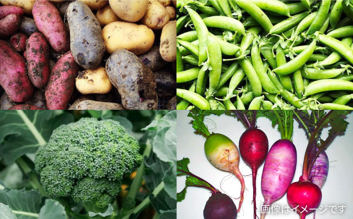 【全3回定期便】糸島の朝産み黄金タマゴ10個 朝どれ新鮮野菜5品 セット【福岡県糸島産】 糸島市 / オーガニックナガミツファーム 玉子 やさい 	[AGE047]