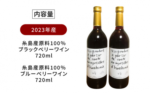 2023年産 糸島産ブルーベリー・ブラックベリーワイン 720ml×2種セット 糸島市 / HYM FARM ワイン ブルーベリー [AHM002]