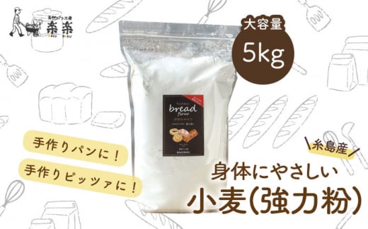 【 糸島産 小麦 使用 】 伊都 の みのり ( 強力粉 ) 5kg 《糸島》【天然パン工房楽楽】【 いとしまごころ】 [AVC061]