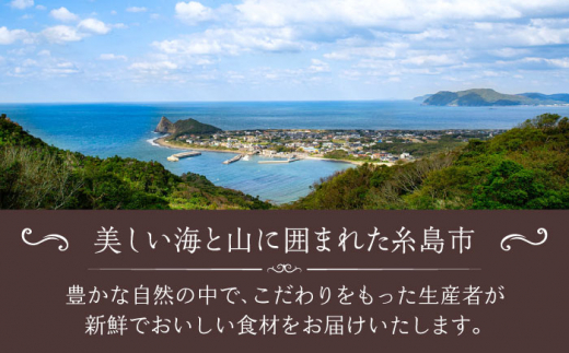 糸島市 / 二子玉川代官山ASO チェレステ 糸島市特産品コース2名様＜ランチ・ディナー共通＞ [AMN002]