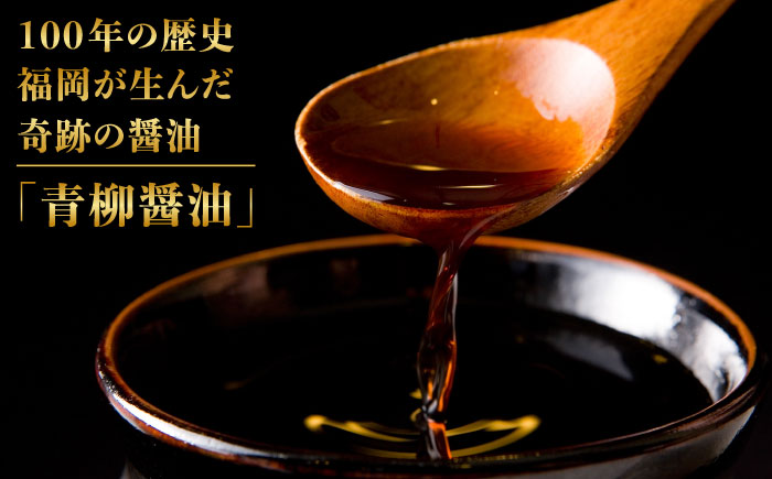 【全12回定期便】国産 ・ 完全 無添加 もつ鍋 セット ×2 ( 約 4人前 ) しょうゆ味 糸島市 / 博多 浜や [AFF016]