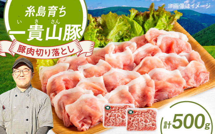 一貴山豚 切り落とし 計500g(250g×2p)  糸島市 / いきさん牧場 豚肉 [AGB056] 豚肉 豚 ブランド豚 一貴山豚 ポーク 切り落とし 肉 250g