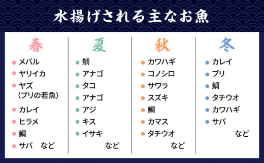 【全3回定期便】【塩 にも こだわり ！ 】玄海 の 海旬 の 干物 セット ( 3,4人向け ) 糸島市 / 福ふくの里 [ALD005]