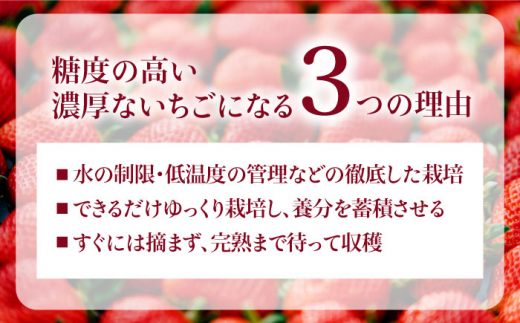 【全3回定期便】完熟 あまおう 270g × 2パック / あまおう ジャム 140g × 3本 【先行予約：2025年1月より順次発送】  糸島市 / slowberry strawberry 苺 いちご [APJ005]