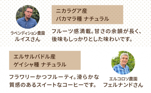 【全6回定期便】種類 おまかせ 中煎り コーヒー 定期便 【選べる豆or粉】 糸島市 / COFFEE UNIDOS  珈琲 [AQF016]