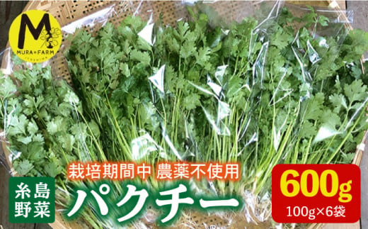 【先行予約販売】糸島産 パクチー 600g ( 100g × 6袋 )  糸島市 / MURA FARM [AFD001]