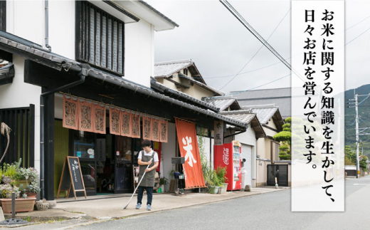 糸島のお米 食べくらべ 真空パック 計10kg（2kg×5パック） 糸島市 / 納富米穀店 [ARL003]