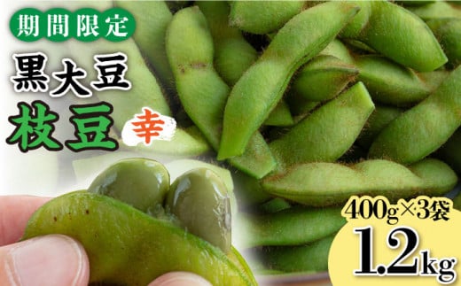 【期間限定！】黒大豆枝豆【幸】1.2kg （400g×3袋） 糸島市 / 染井野菜園 [AZM001]