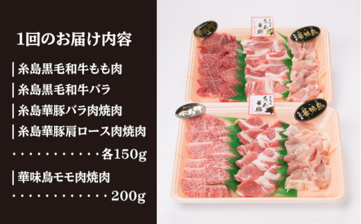 【全6回定期便】焼肉・バーベキュー セット 計800g 牛モモ 牛バラ 豚バラ 豚肩ロース 鶏もも肉  糸島市 / 糸島ミートデリ工房 [ACA273]