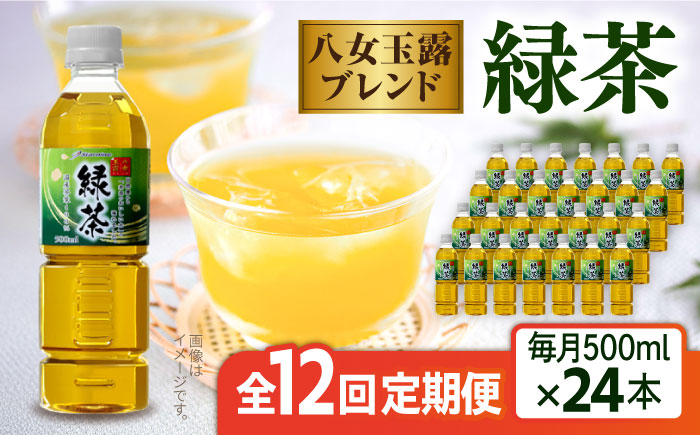 【全12回定期便】八女 玉露入り 緑茶 500ml × 24本  糸島市 / スターナイン お茶 ペットボトル [ARM017]