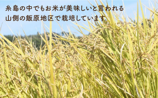 【新米受付中】＼令和6年産／ 糸島産 餅米 3kg 自然栽培 天日干し 【2024年11月下旬以降順次発送】 糸島市 / 大石ファーム もち米 おもち[ATE042]