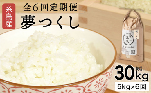 【全6回定期便】 糸島産 夢つくし 5kg × 6回（月1回）糸島市 / 糸島王丸農園 ( 谷口汰一 )【いとしまごころ】[AAZ003]