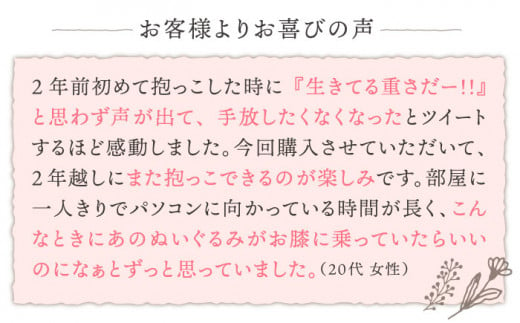 セラピー！？ ロボット？ 「 パトラン 」（ 重たい ぬいぐるみ ） 《糸島》【科学工房未來】 ぬいぐるみ セラピー 犬 プレゼント [AYI001]