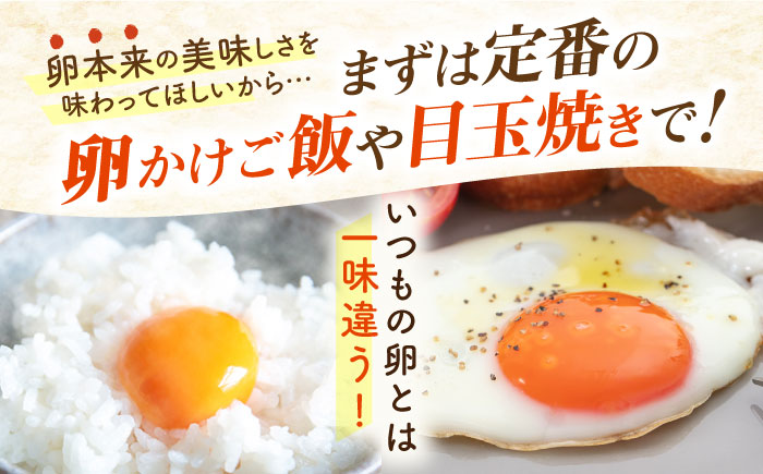 《月2回 × 20個 3ヶ月コース》卵 てつやとのりこの玉子 全6回定期便 糸島市 / 板垣ファーム [AWD012]