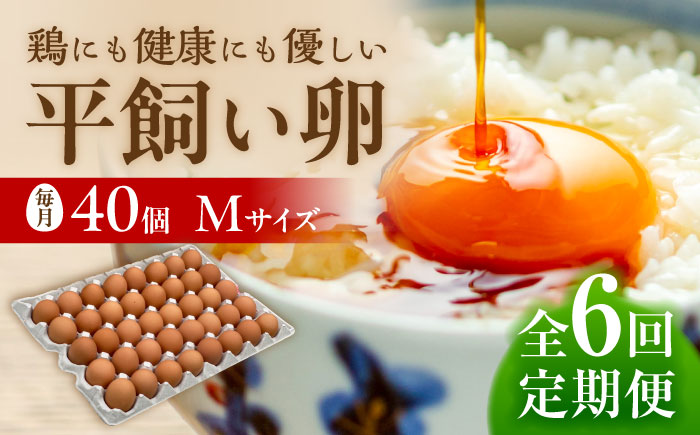 【 全6回 定期便 】 こだわり の 卵 「 天上卵 」 40個 セット 《糸島》【株式会社おおはまファーム】[AKH007]