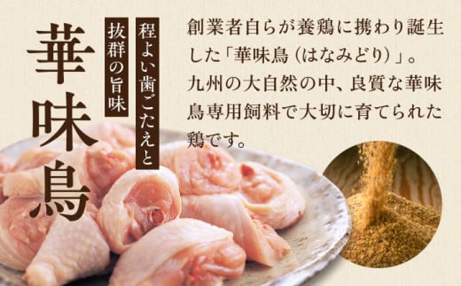 ＼1週間以内に発送／【累計100万食突破！】博多華味鳥 水炊き セット 3～4人前 水たき 糸島 / トリゼンダイニング [AIB001] 華味鳥 水炊き はなみどり ランキング 上位 人気 鍋 鍋セット