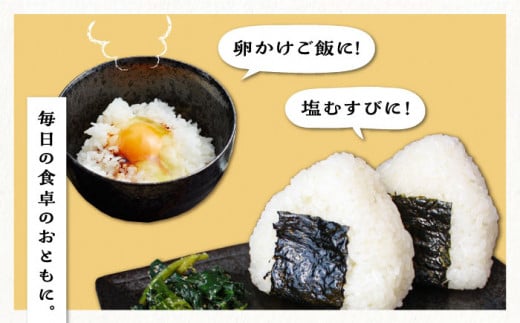 【2024年11月以降順次発送】【全6回定期便】糸島産 ひのひかり 5kg×6回 糸島市 / 三島商店 [AIM009]