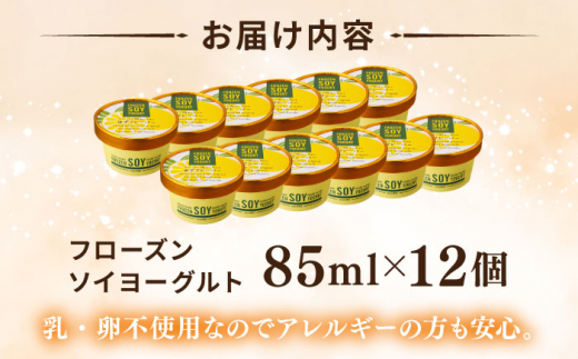 【乳・卵不使用】豆腐屋のフローズンソイヨーグルト ゆず風味 12個 糸島市 / 高取食品 ヨーグルト アイス ジェラート [AHG012]