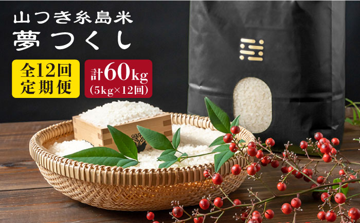 【全12回定期便】 糸島 で 農薬 を使わずに育てた 山つき 糸島米 5kg （ 夢つくし ） 糸島市 / itoshimacco / 株式会社やました [ARJ034]