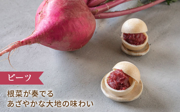 【先行受付】【 贈答用にも 】 糸モナカ 4種セット【2026年11月以降順次発送】  糸島市 / わかまつ農園 [AHB015] もなか 最中 皮 和菓子 詰め合わせ ギフト スイーツ