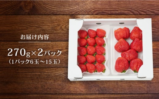 【農家直送！】 農家おまかせ訳あり 270g×2パック 糸島市 / みのりのりん [ABD004]