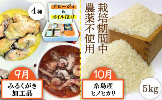 【全12回定期便】糸島ガッツリお楽しみ定期便（水炊き / しゃぶしゃぶ / チーズ / 卵 / ヨーグルト / ウインナー / 野菜 / 米 / 明太子 / スイーツ / 牛肉 / 豚肉 ） 糸島市 [AAH002]