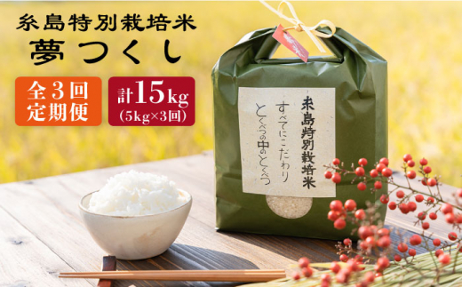 【全3回定期便】とくべつの中のとくべつ 糸島 特別栽培米 5kg （ 夢つくし ） 糸島市 / itoshimacco / 株式会社やました [ARJ027]