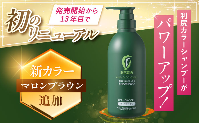 【色が選べる！2本セット】［白髪用］ 利尻カラーシャンプー 大容量サイズ＋利尻カラーケアコンディショナー 大容量サイズ ［無添加］ 糸島市 / 株式会社ピュール ヘアケア シャンプー [AZA071] シャンプー 白髪染め カラーシャンプー コンディショナー 無添加 ノンシリコン
