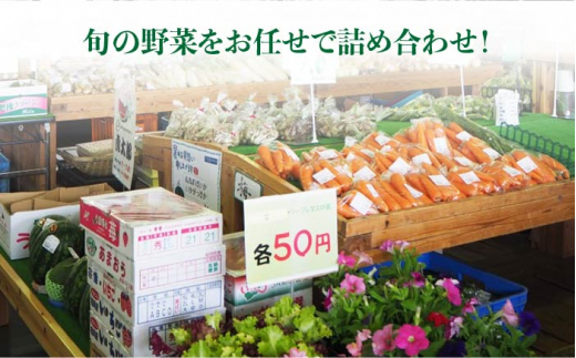 【 全3回 定期便 】 福岡県 糸島産 旬 の 野菜 盛り合わせ セット 《糸島》【株式会社フロンティア・アドバンス】[AWC007]