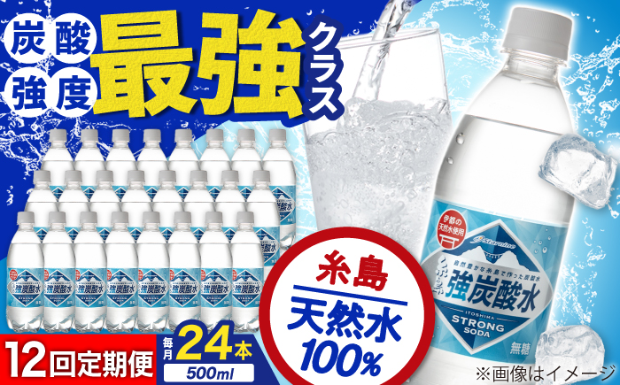 【全12回定期便】強炭酸水 プレーン 500ml × 24本  糸島市 / スターナイン 炭酸水 国産 [ARM011] 炭酸水 500ml 24本 送料無料 プレーン 国産 炭酸 常温