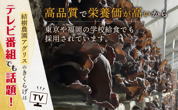 結樹農園 アグリス めんたい きくらげ 300g×3P 《糸島》【結樹農園アグリス】きくらげ/国産/明太/明太子 [AAJ002]