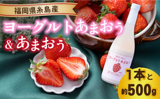 【先行予約】【冬】ヨーグルトあまおう720ml×あまおう約250g×2パック 【2024年12月上旬以降順次発送】 糸島市 / 南国フルーツ株式会社 [AIK014]