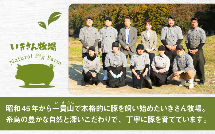 【全3回定期便】一貴山 豚しゃぶ セット糸島市 / いきさん牧場 /鍋 しゃぶしゃぶ 豚しゃぶ 肩ロース ロース つくね バラ 豚バラ [AGB007] 豚しゃぶ しゃぶしゃぶ 肩ロース 豚バラ 豚つくね つくね