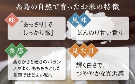 【こだわり精米】令和5年 糸島産 夢つくし 5kg 糸島市 / RCF 米 お米マイスター [AVM001]