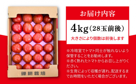 【産地直送！】糸島産 絶品 トマト かれん (4kg 28玉 前後) 糸島市 / シーブ [AHC019]