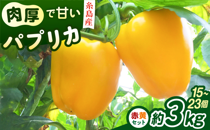 【先行受付】糸島産 肉厚 パプリカ約3kg(15-23個)  【2026年11月以降順次発送】福岡県  糸島市 / シーブ [AHC032] 野菜 ピーマン 野菜 やさい パプリカ ピーマン 肉厚 生 ピクルス マリネ 肉詰め