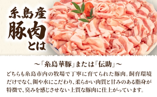 【 しゃぶしゃぶ 】糸島産豚肉 豚 ロース スライス 1.2kg 糸島 / 糸島ミートデリ工房 [ACA092] 豚肉 豚ロース ロース
